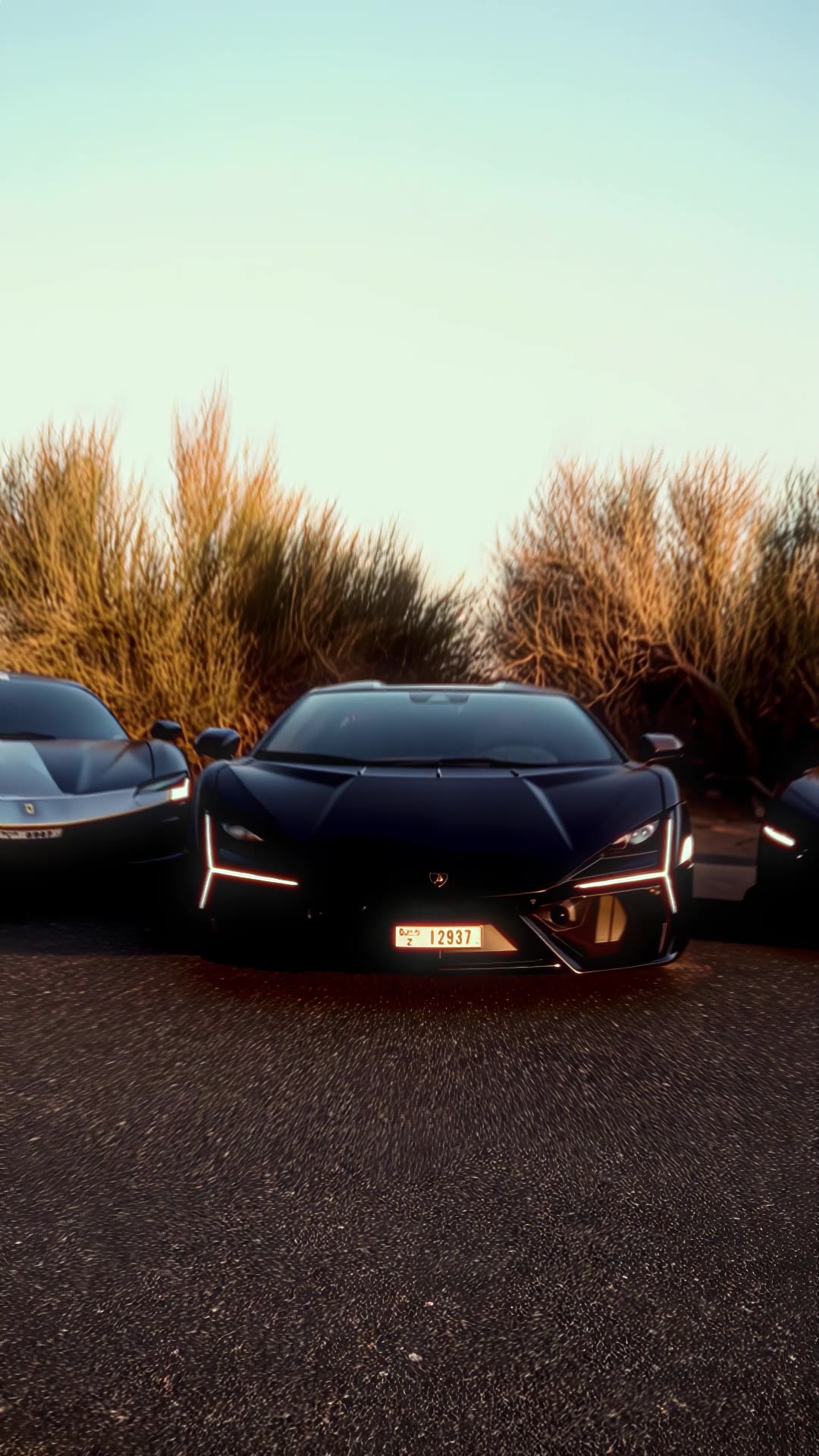 RSM's Fleet
